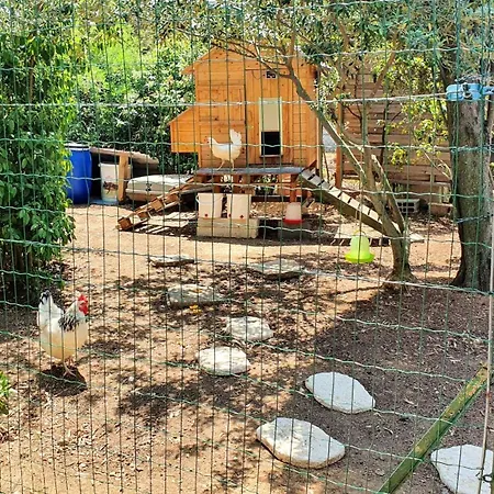 Spacieuse A Avec Piscine Privee Et Jacuzzi Beziers